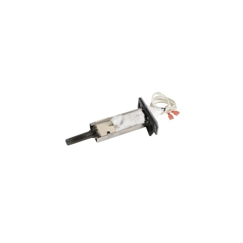 Elektrode Brenner Athena version 1- ATLANTIC - 000087