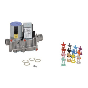 Gasarmatur- VAILLANT - 0020019992