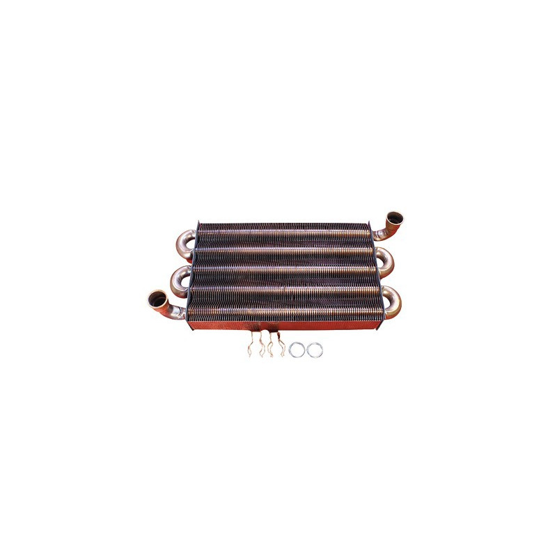 Échangeur de chaleur (92 bras)- VAILLANT - 0020019994