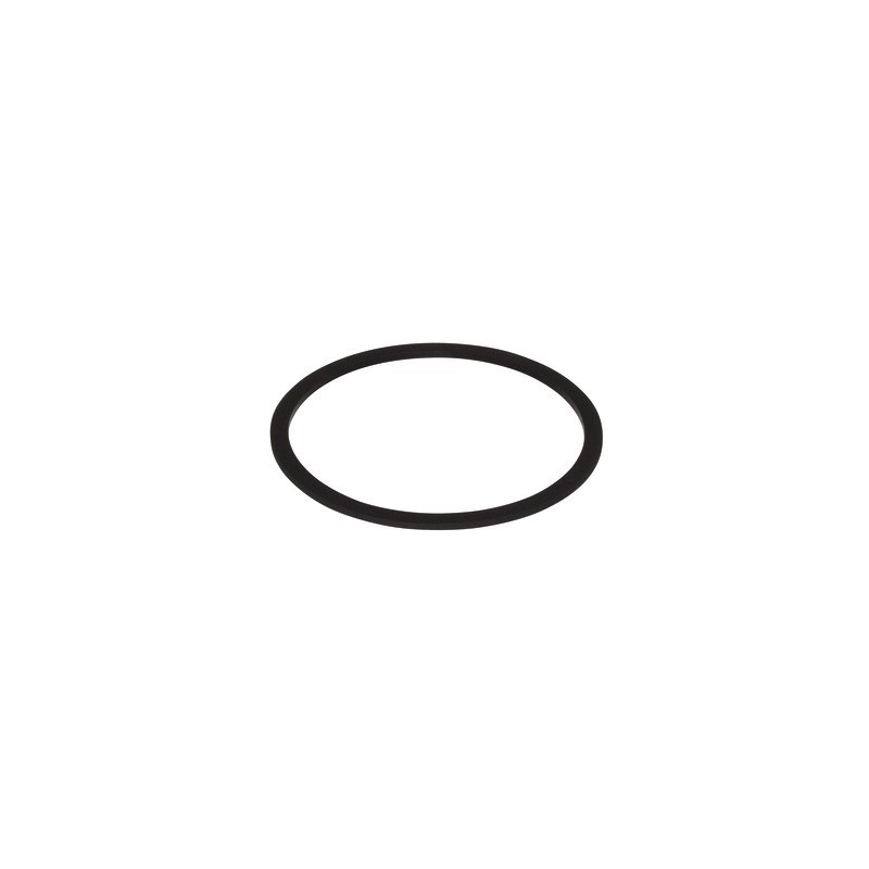 Joint plat- SAUNIER DUVAL - 0020221829