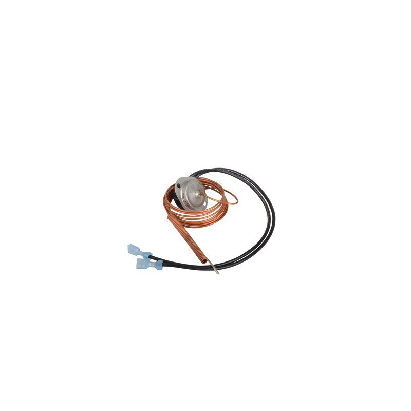 Thermostat de fumées- AOSMITH - 0071587002(S)