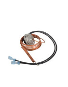 Thermostat de fumées- AOSMITH - 0071587002(S)