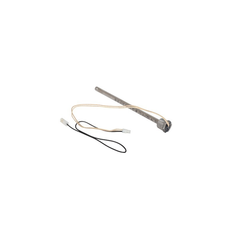 Kit de service pour allumage- AOSMITH - 0304079(S)