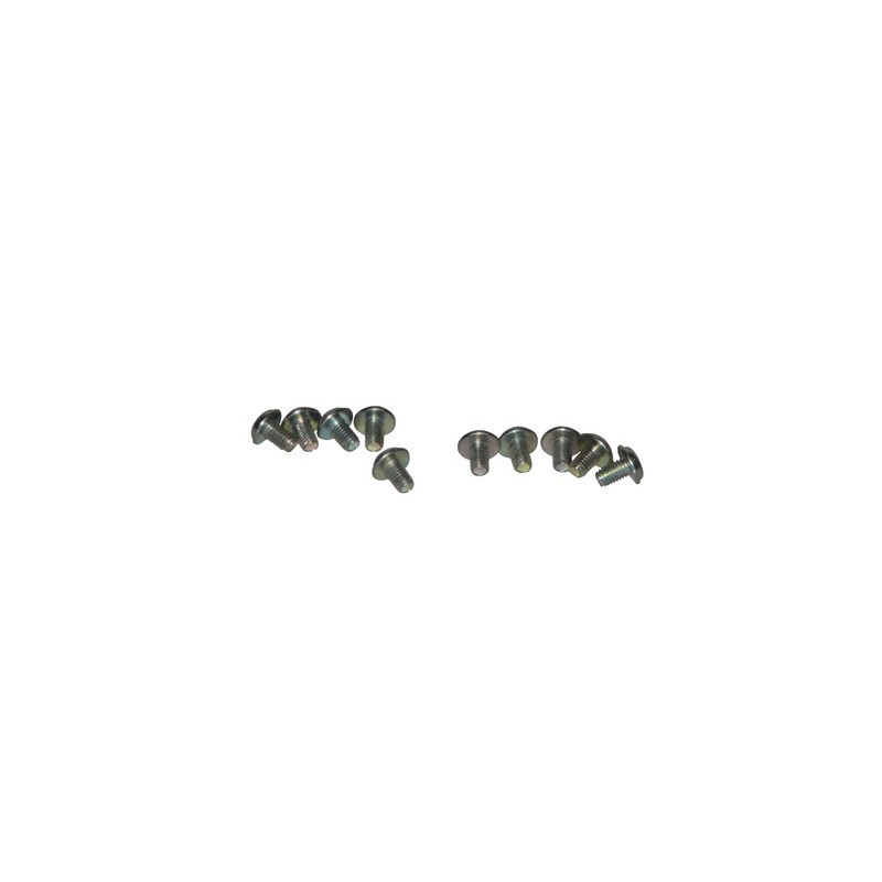 Vis (x10)- VAILLANT - 105900  - (X10)
