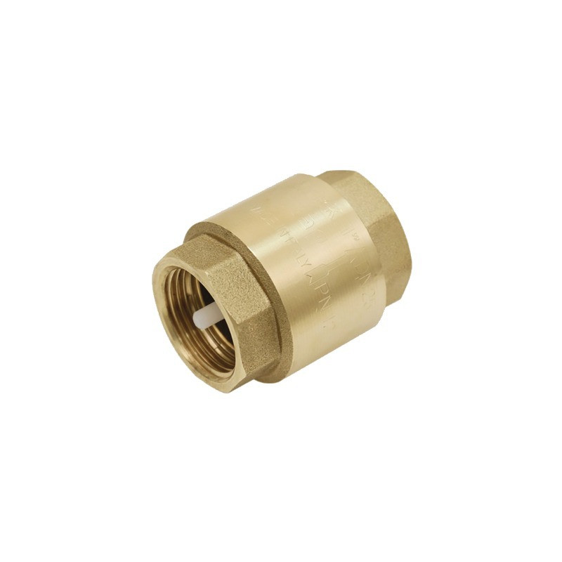 Clapet de non retour obturateur nylon F1"- DIFF - 110239