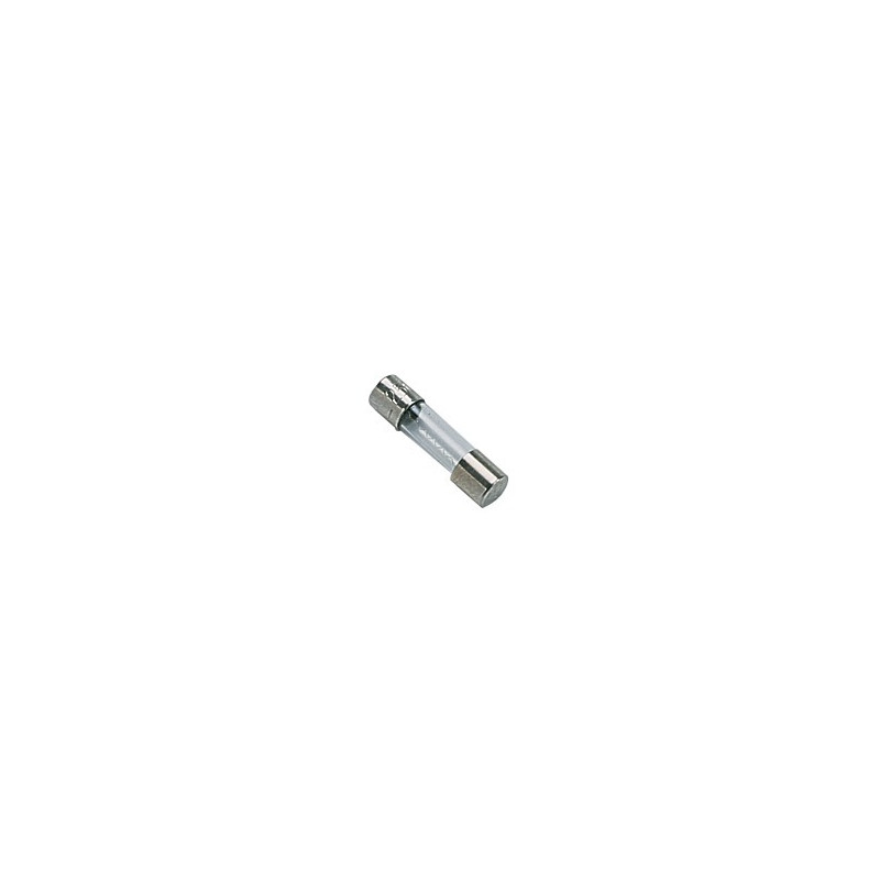 Feinsicherung 250v 0.315a- DIFF pour Chaffoteaux - 61307845  - (X10)