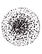 Steinen Düse S/ST 0,40 GPH 45°- STEINEN - 040D45ST
