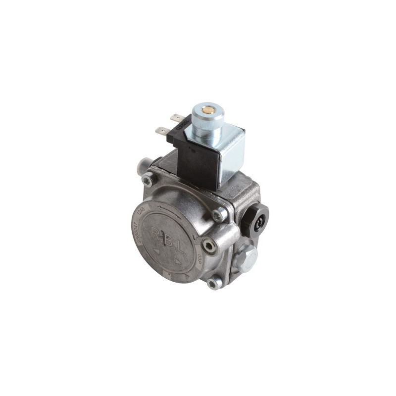 Ölpumpe für Gulliver RG0- RIELLO - 3002495