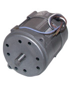 Moteur 150W p/15M/20M- RIELLO - 3005820