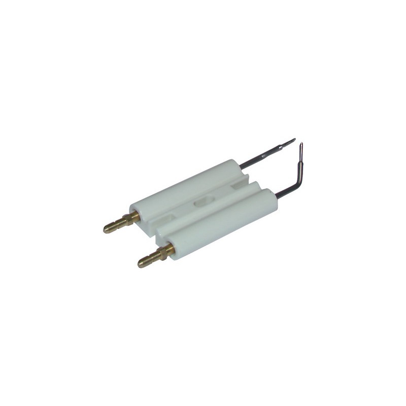 Doppelzündelektrode für RG1- RIELLO - 3007617