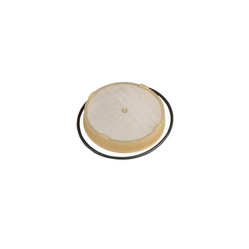 Filtre + joint- RIELLO - 3008653