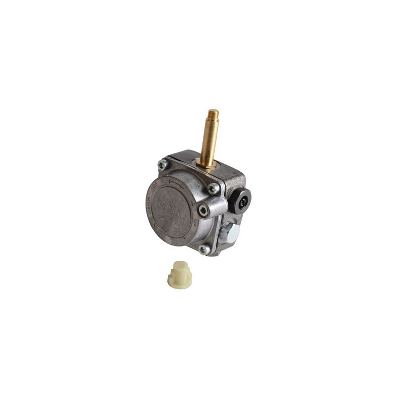 Pompe- RIELLO - 3008848