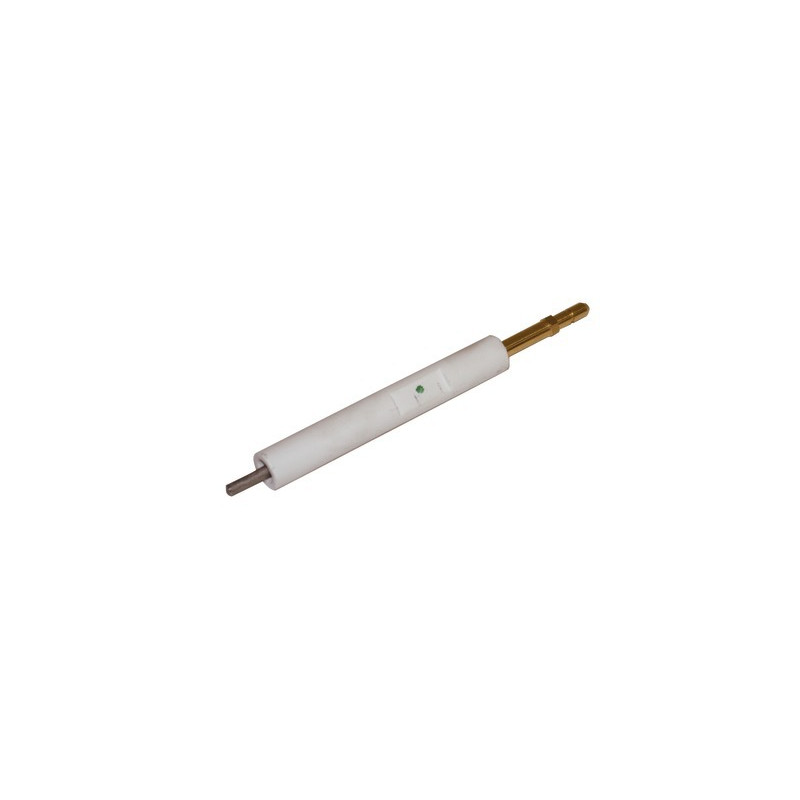 Zündelektrode BS1- RIELLO - 3008930