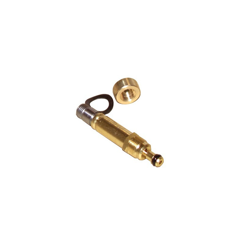Pumpenzubehör DANFOSS Magnetventilkern BFP Typ NF (71N0050)- DANFOSS - 071N0050