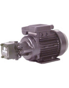 Übertragungseinheit Niederdruck GAPA J6 BP einphasig 270l/h- DIFF - 309042