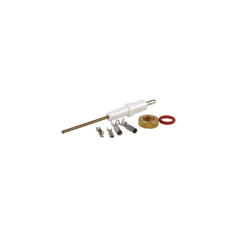 Ionisationselektrode ECONCEPT- FERROLI - 39806200
