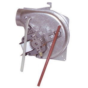 Gebläse NEW ELITE- FERROLI - 39806885