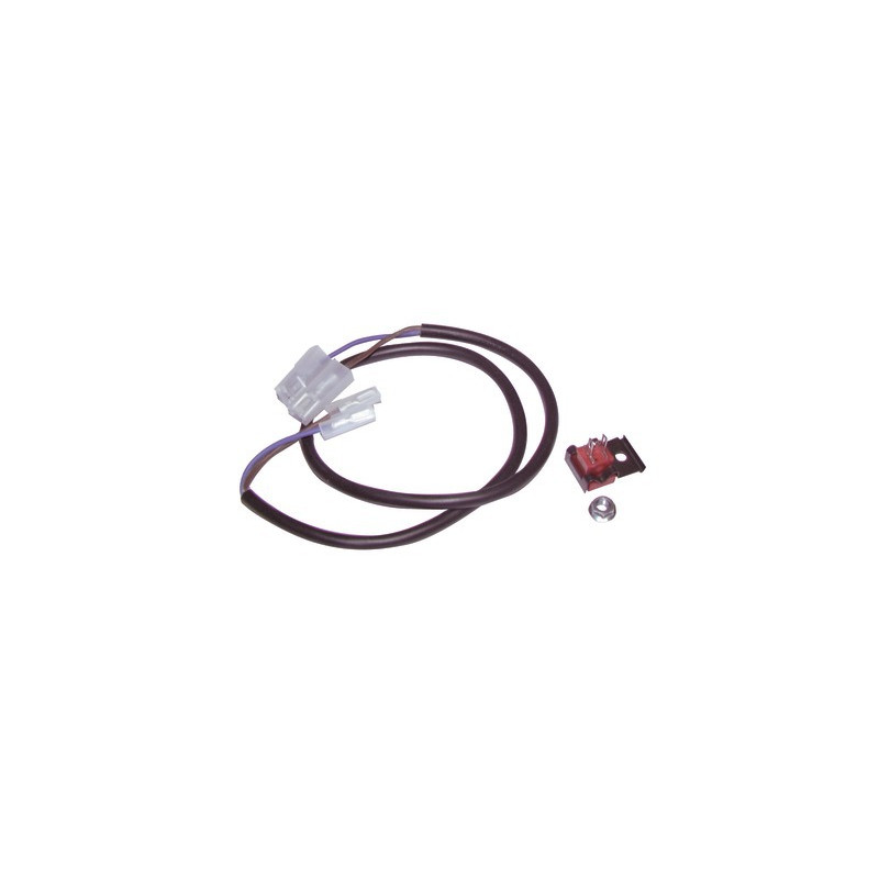 Warmwassersensor- FERROLI - 39808560