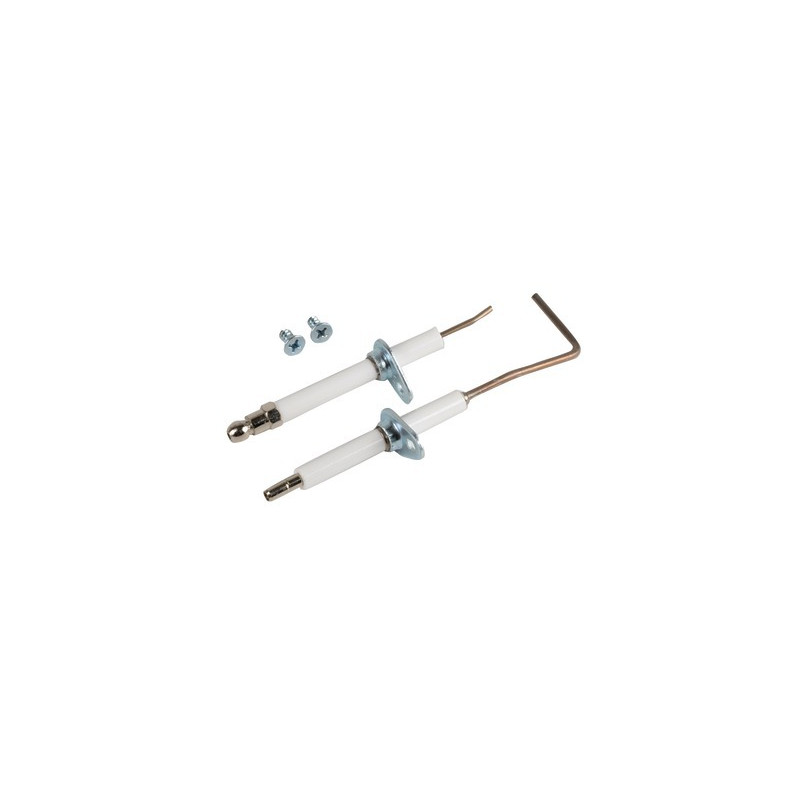 Spezifische Elektrode Pegasus -(2 Stück)- FERROLI - 39814080