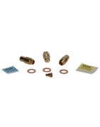 Kit injecteur g20 pegasus dk 1- FERROLI - 39827100