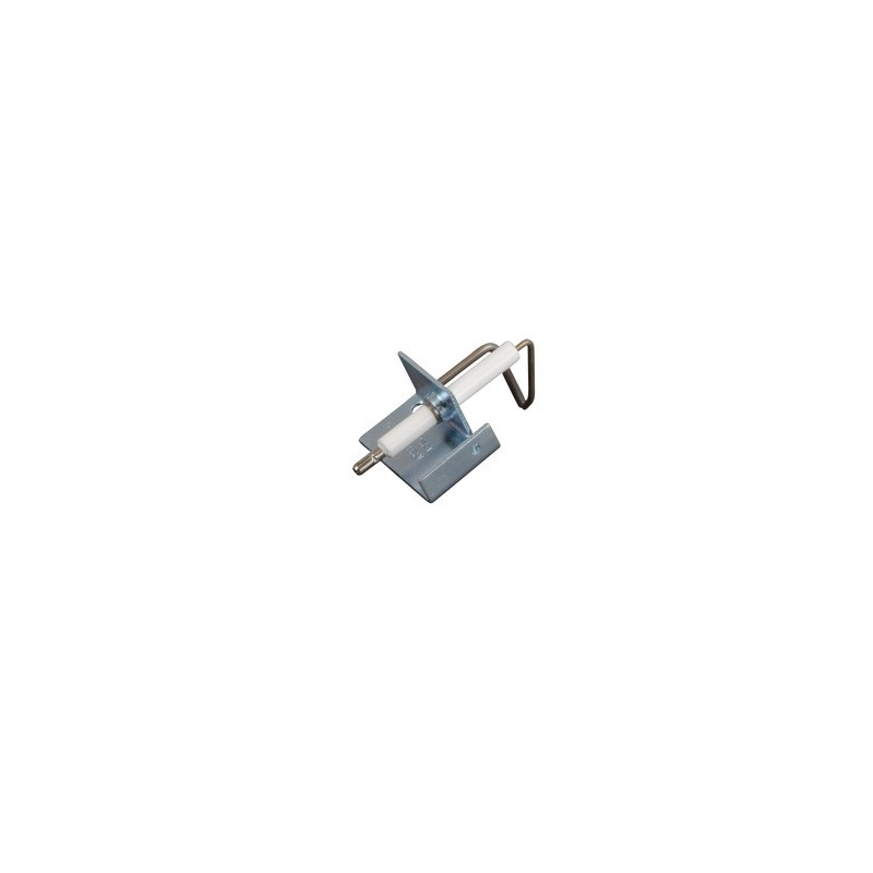 Groupe electrode divatech/top micro low nox- FERROLI - 39828390