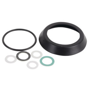 Dichtung-Set Behälter DOMINA OASI- FERROLI - 39843450