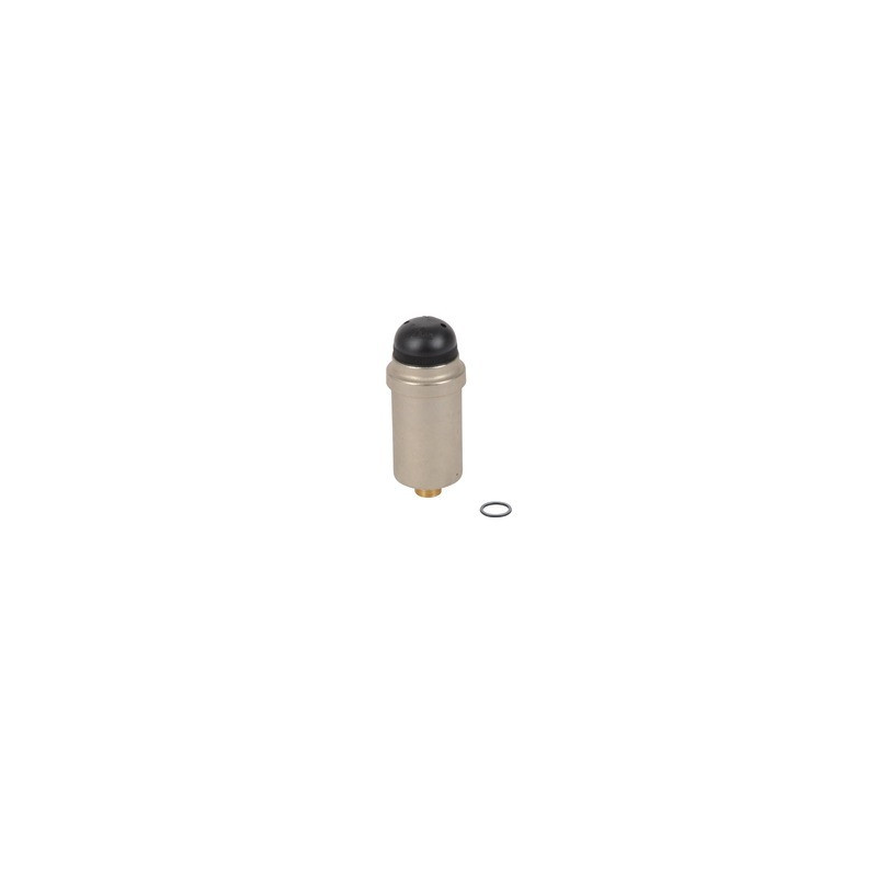 Entlüfter Entlüfter- DIFF pour Frisquet - F3AA40121