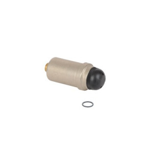 Entlüfter Entlüfter- DIFF pour Frisquet - F3AA40121