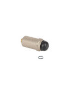 Entlüfter Entlüfter- DIFF pour Frisquet - F3AA40121