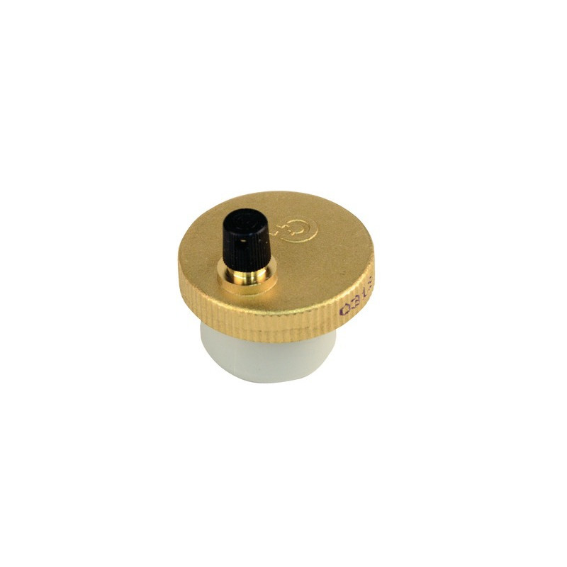 Autom. Entlüfter BICERANE- DIFF pour Frisquet - F3AA40890