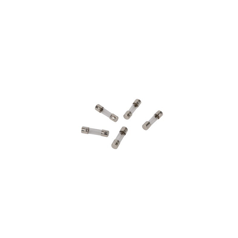 Lot fusible 3.15A 250V- DIFF pour Frisquet - F3AA41212  - (X5)