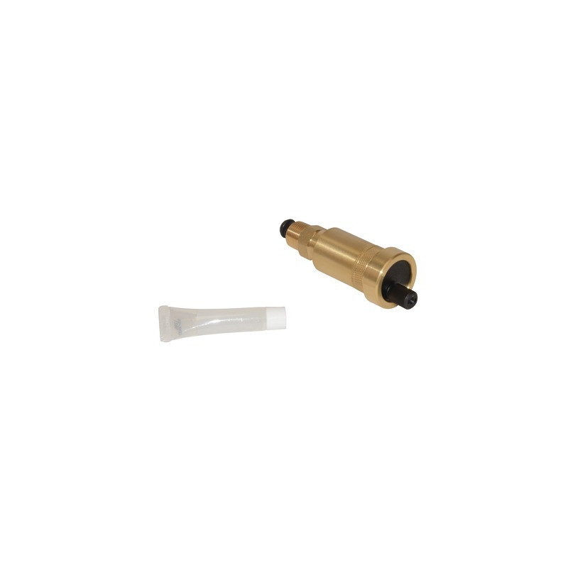 Purgeur d'air automatique 3/8"- DIFF pour Viessmann - 7819971