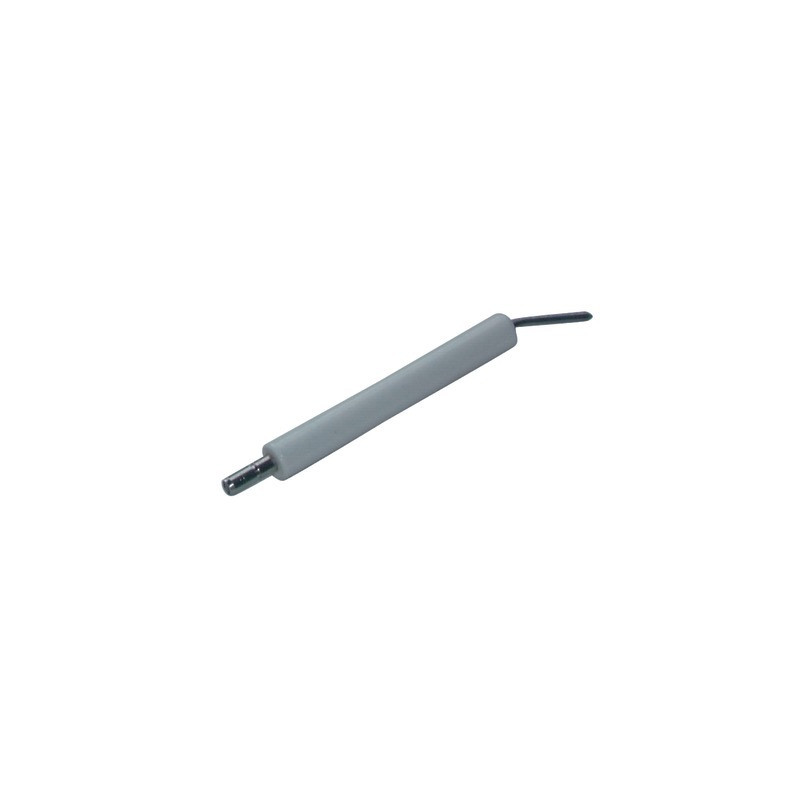 Spezialelektrode ABF 10- DIFF pour Bentone - 11593701  - (X2)