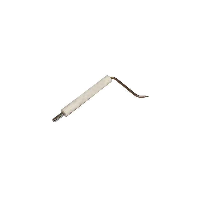 Spezifische Elektrode Ionisationssonde BG200 - (1 Stück)- DIFF pour Bentone - 11534703