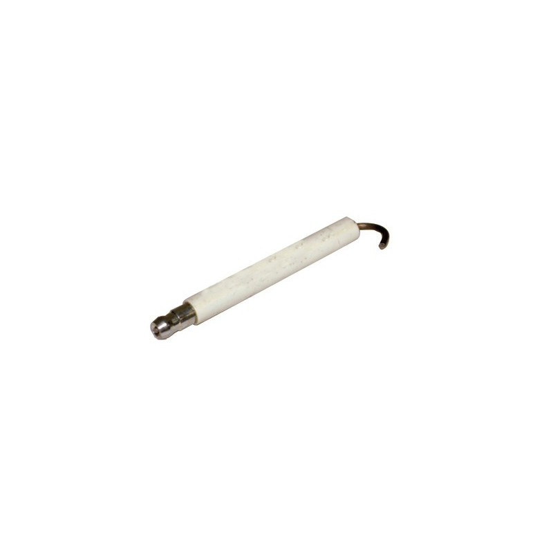 Spezifische Elektrode Elektrode BP200 - (1 Stück)- DIFF pour Bentone - 11534704