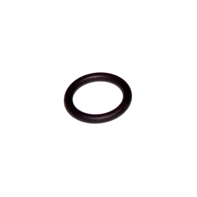 Dichtring Résidence- RIELLO - 4364282  - (X10)