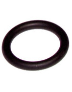 Dichtring Résidence- RIELLO - 4364282  - (X10)