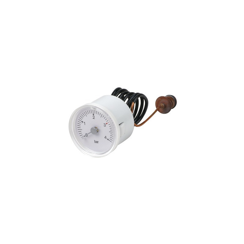 Hydrometer- RIELLO - 4364942