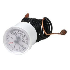 Thermomanometer- RIELLO - 4365356