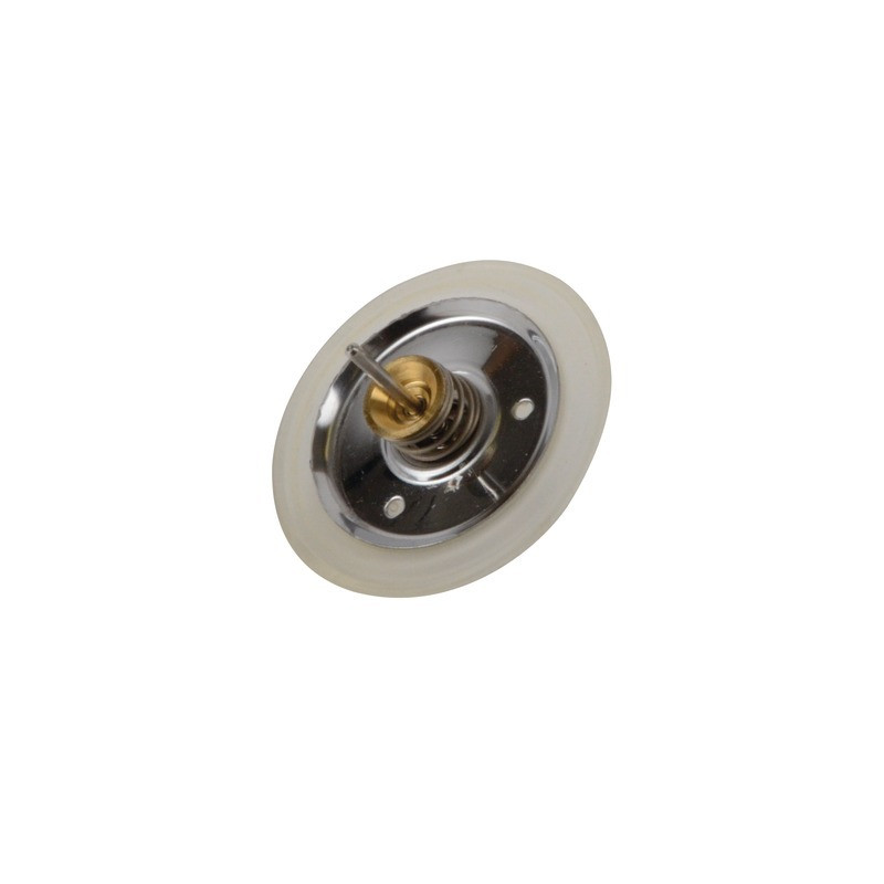 Groupe membrane vanne 3-voies RIMB0005- SIME - 6153101A