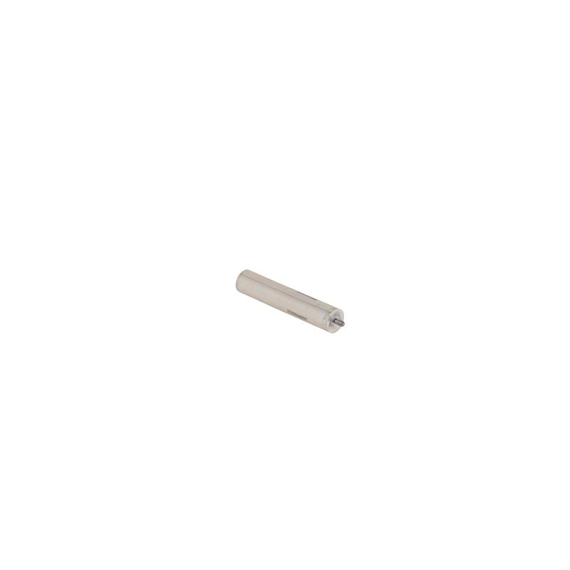 Anode Ø22 l:110 m5- CHAFFOTEAUX - 65151186