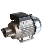 Standard Motor Flansch Nema 2 einphasig unbelüftet 220 VOLT 250W- DIFF - 702094 Standard Motor Flansch Nema 2 einphasig unbelüftet 220 VOLT 250W- DIFF - 702094
