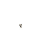 Thermostat- CHAPPEE - 711427700