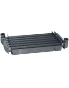 Echangeur chauffage 24kw+clip- DE DIETRICH CHAPPEE - 722539500