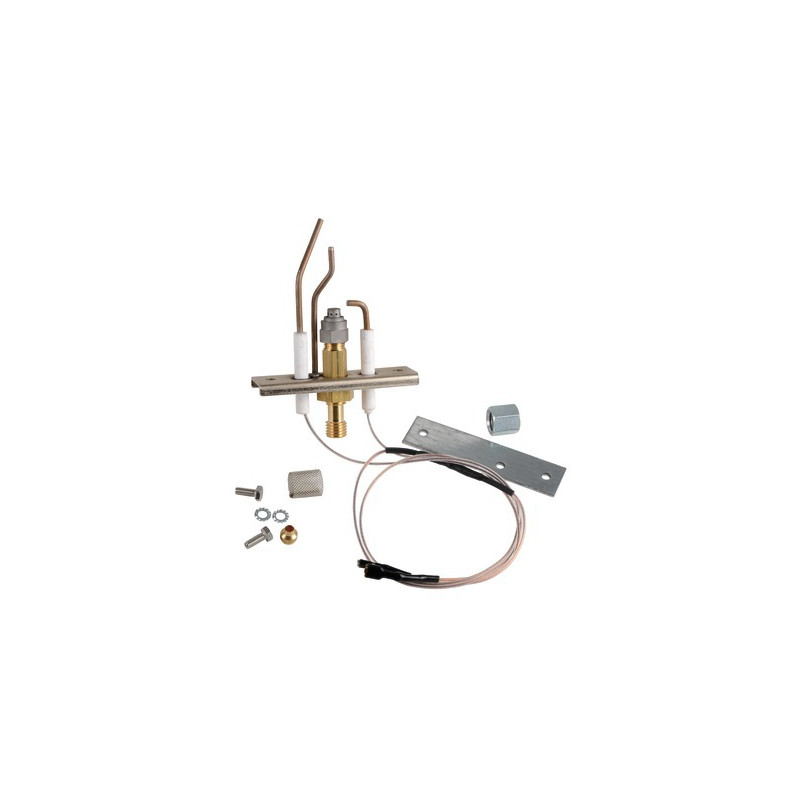 Zündbrenner + Ionisation + Masse- DE DIETRICH - 85025640