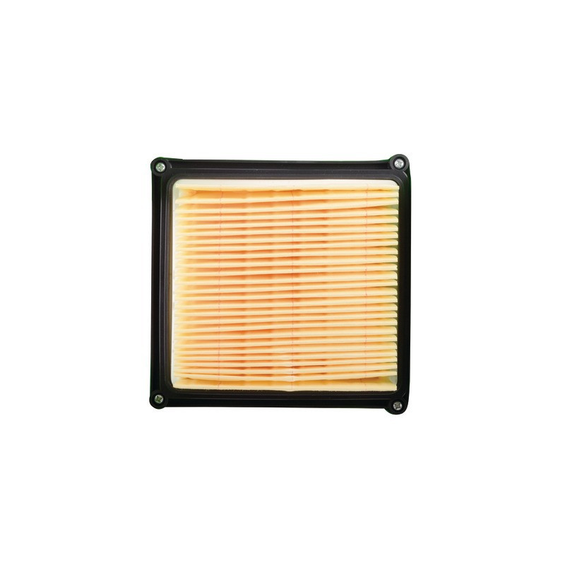 Filter für Fox-Sauger- DIFF - 904682