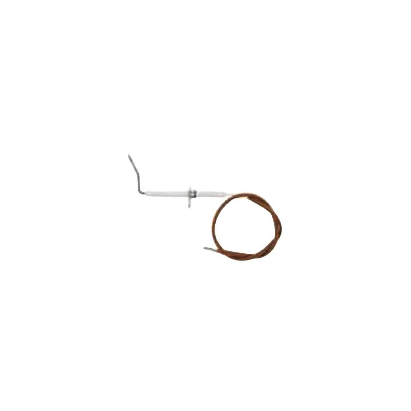 Kit électrode d'ionisation m295- BIASI - BI1413106
