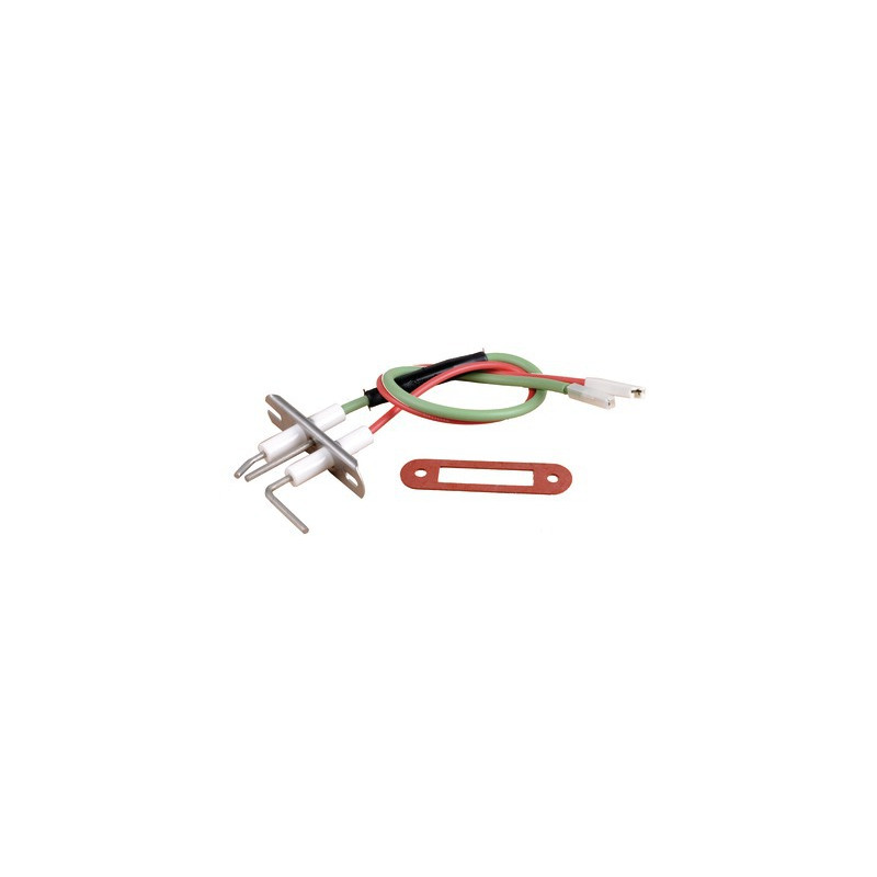 Elektrode AL ION R - nach 00- FRISQUET - F3AA40552