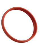 Lippendichtung Rauch Ø: 60mm- FRISQUET - F3AA40673