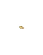 Gicl.delavan 0,50g 60°ct e(bf)- DE DIETRICH CHAPPEE - S50032799 Gicl.delavan 0,50g 60°ct e(bf)- DE DIETRICH CHAPPEE - S50032799